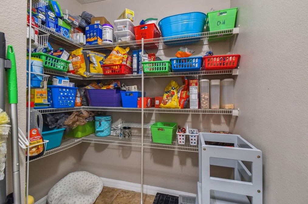 5323 Dittany Ct, Land O Lakes FL  34639-2826 exterior