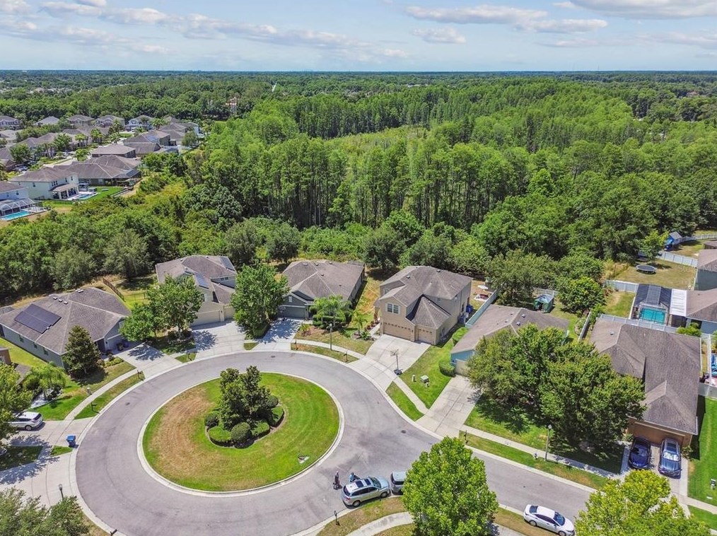 5323 Dittany Ct, Land O Lakes FL  34639-2826 exterior