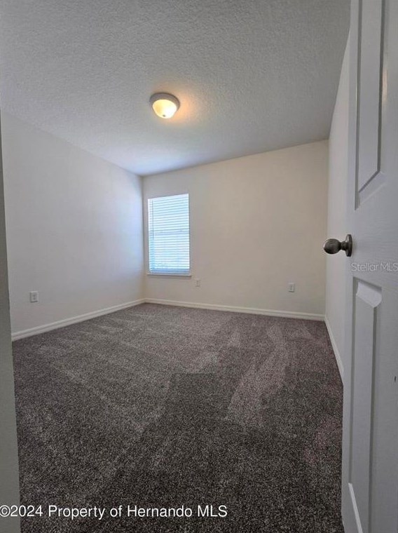 6546 Wirevine Dr, Brooksville FL  34602 exterior