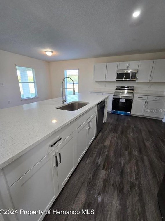 6546 Wirevine Dr, Brooksville FL  34602 exterior