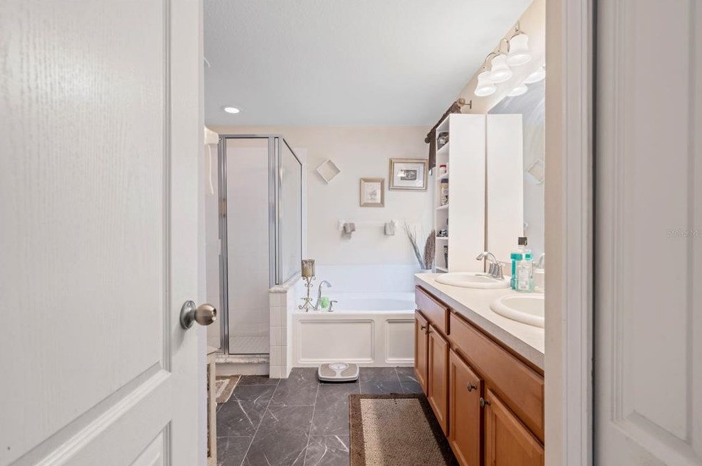 10632 Shady Preserve Dr, Riverview FL  33579-9310 exterior