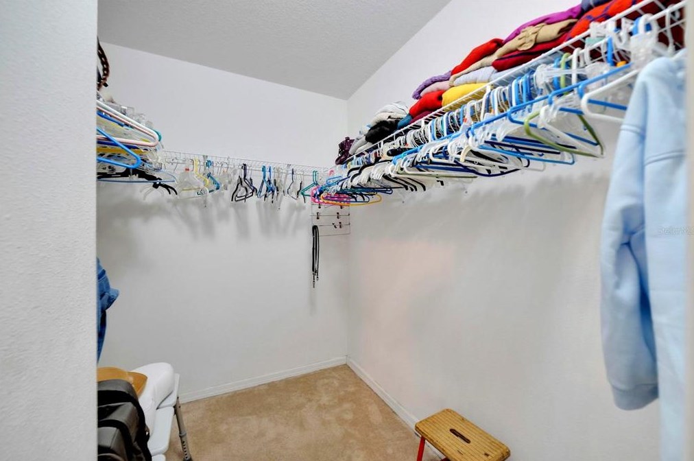 6143 Olivedale Dr, Riverview FL 33578-3819 exterior