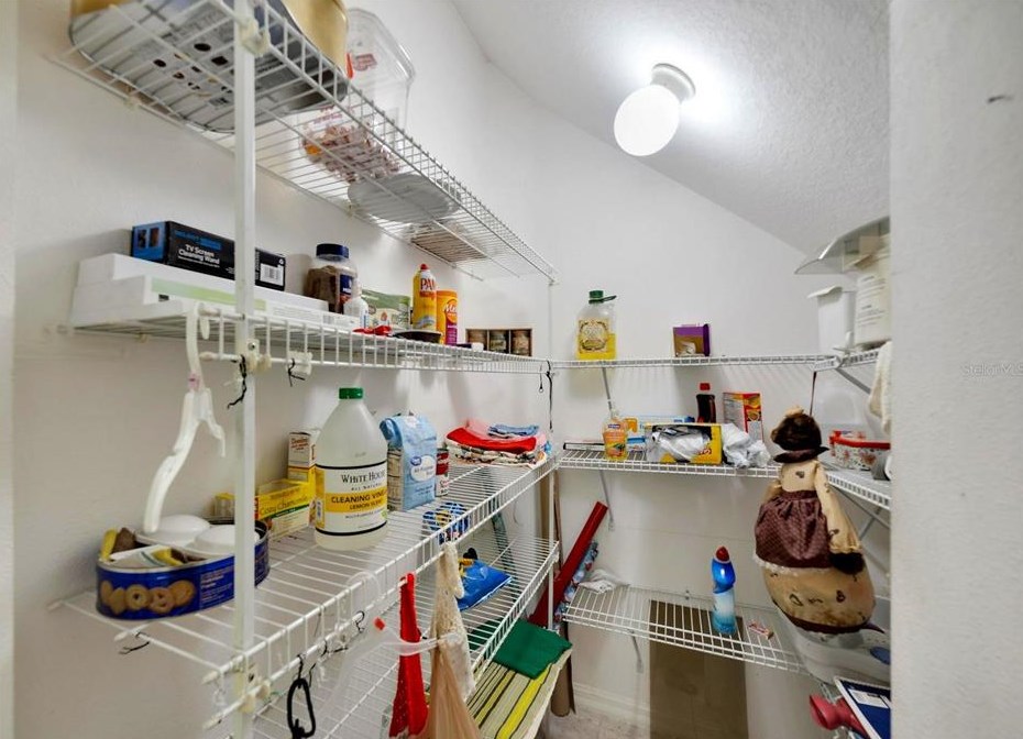 6143 Olivedale Dr, Riverview FL 33578-3819 exterior