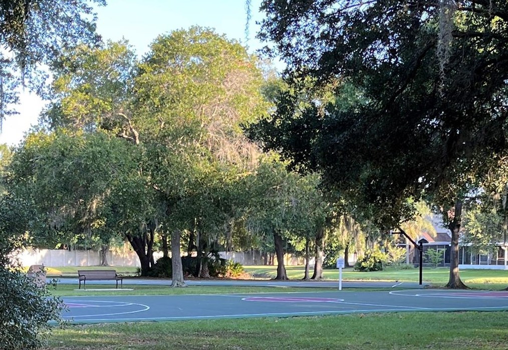 10216 Merrimac Manor Dr, Riverview FL  33578-8327 exterior