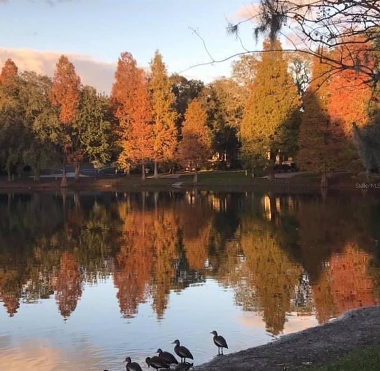 5706 9th St, Tampa FL 33604-6863 exterior