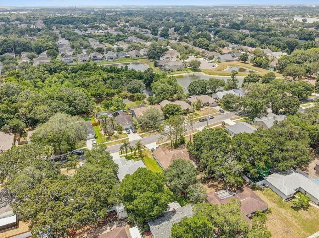 5717 Erhardt Dr, Riverview FL  33578-3754 exterior