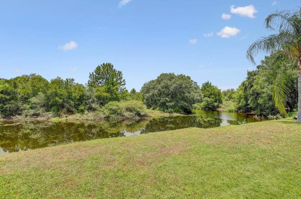 5717 Erhardt Dr, Riverview FL  33578-3754 exterior