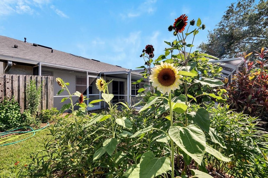 1717 Compton St, Brandon FL  33511-1865 exterior