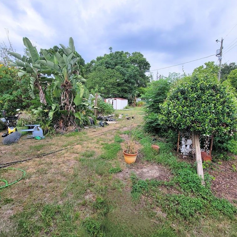 5341 Tangerine Dr, Zephyrhills FL 33542-4699 exterior