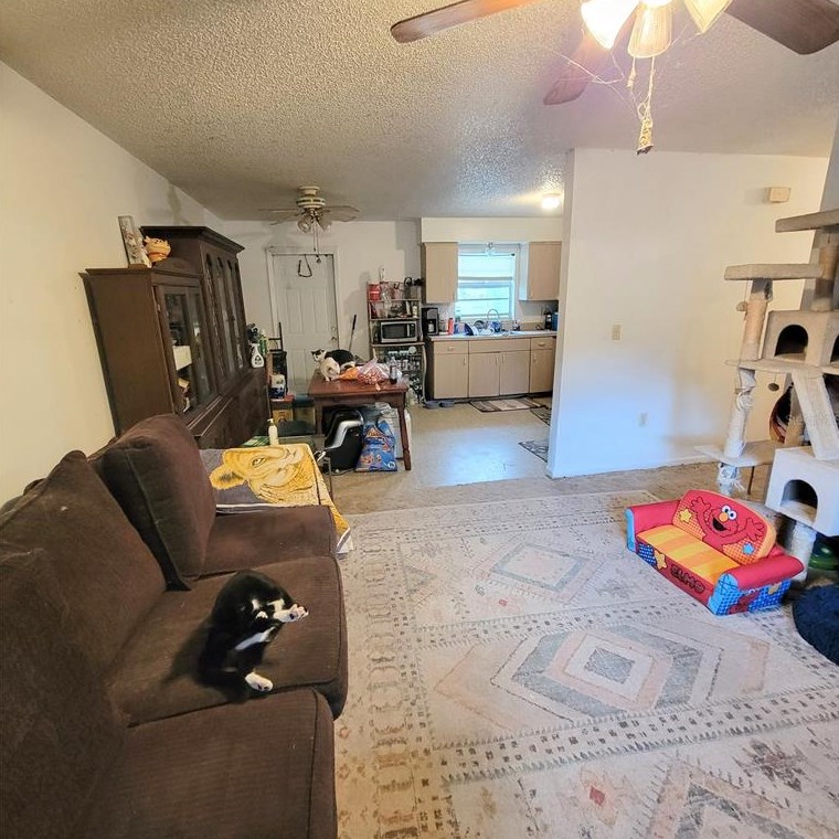 5341 Tangerine Dr, Zephyrhills FL 33542-4699 exterior