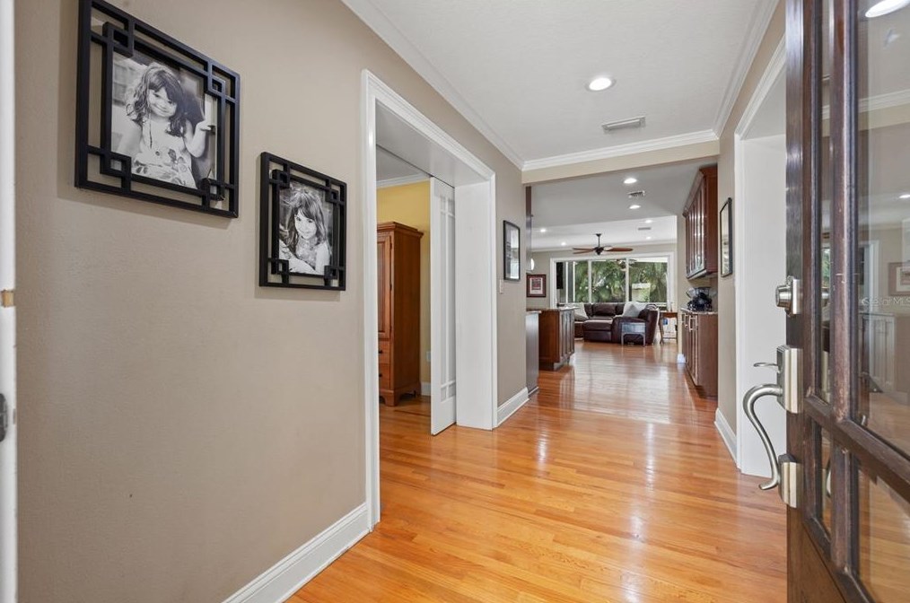 4107 Leona St, Tampa FL 33629-8508 exterior