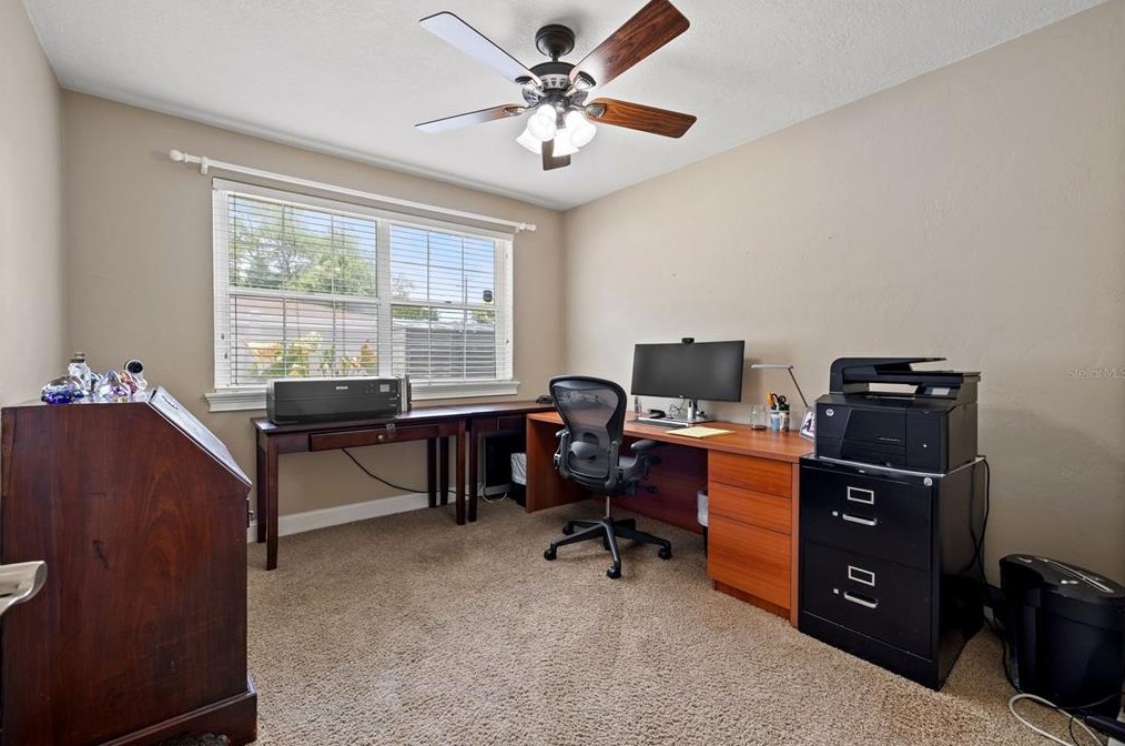 4107 Leona St, Tampa FL 33629-8508 exterior