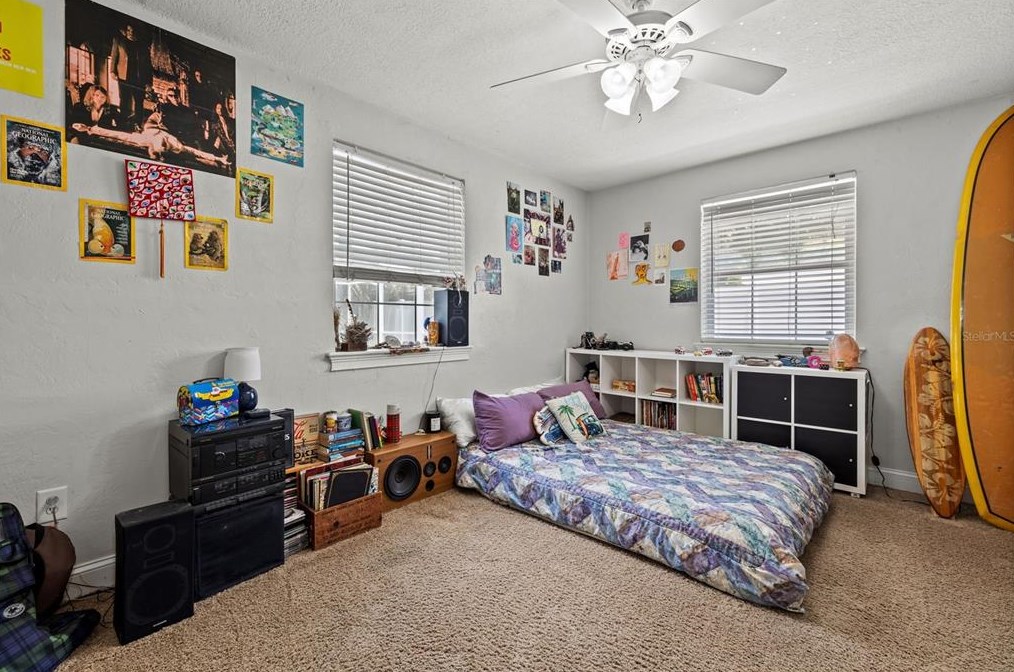 4107 Leona St, Tampa FL 33629-8508 exterior