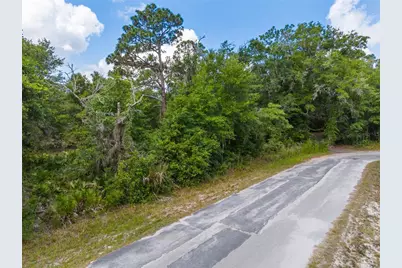 12180 W Olive Tree Lane, Crystal River, FL 34428 - Photo 1