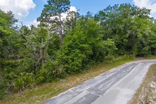 12180 W Olive Tree Ln, Crystal River, FL 34428 - Photo 1