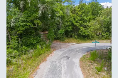 12180 W Olive Tree Lane, Crystal River, FL 34428 - Photo 3