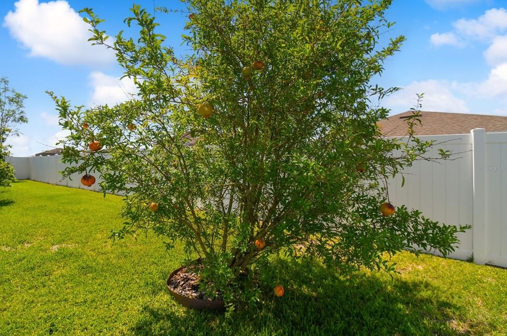 3661 Prescott Loop, Lakeland FL  33810-2860 exterior