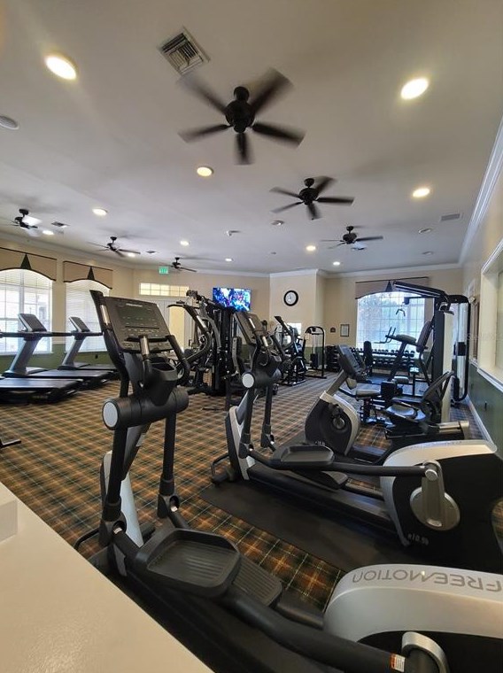 10123 Courtney Palms Blvd, Tampa FL  33619-8503 exterior