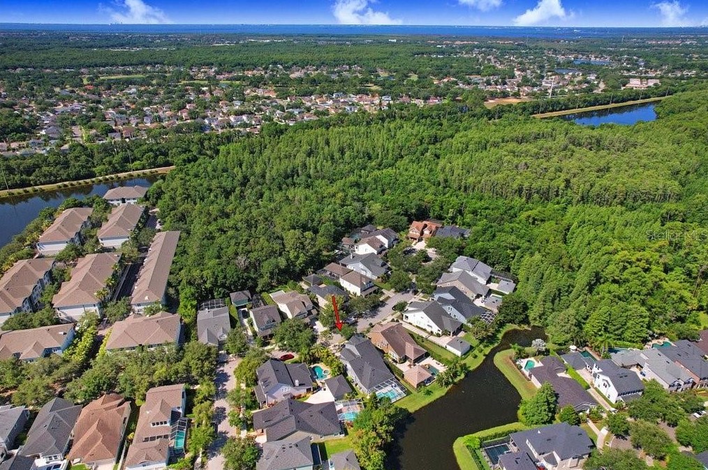 10027 Brompton Dr, Tampa FL 33626-5125 exterior