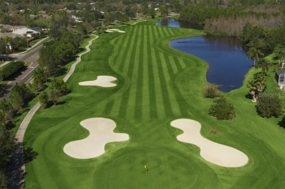 10027 Brompton Dr, Tampa FL 33626-5125 exterior