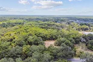 10413 Main St, Thonotosassa, FL 33592 - Photo 1