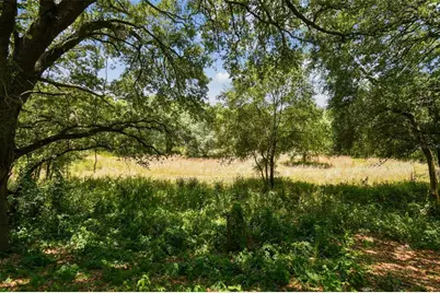 10413 Main Street, Thonotosassa, FL 33592 - Photo 11