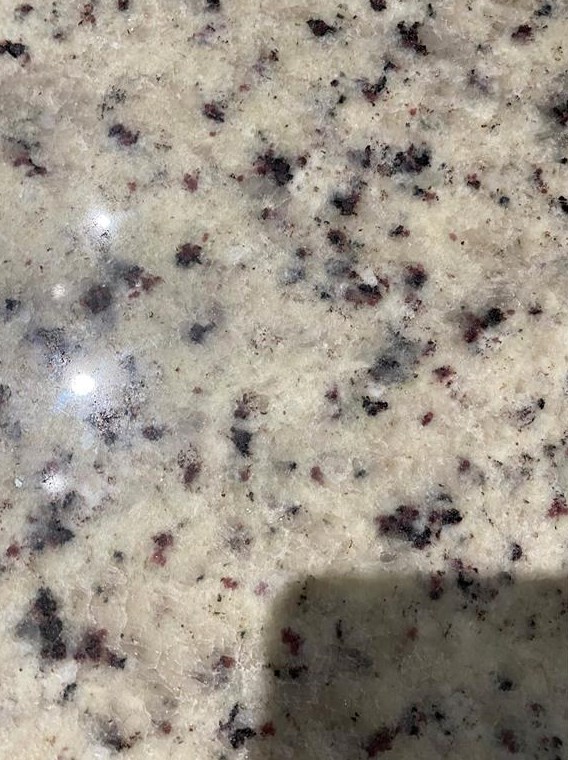 30133 Barnaby Ln, Zephyrhills FL 33543-3701 exterior