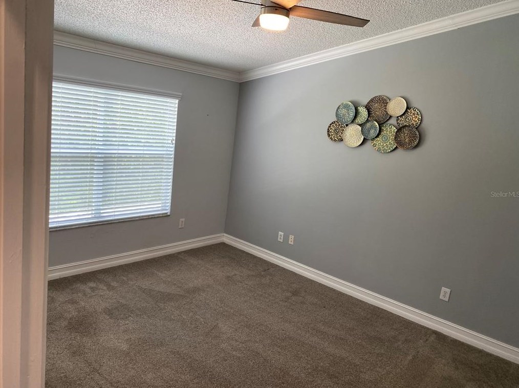 30133 Barnaby Ln, Zephyrhills FL 33543-3701 exterior