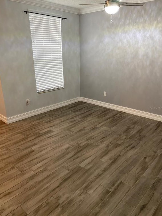 30133 Barnaby Ln, Zephyrhills FL 33543-3701 exterior