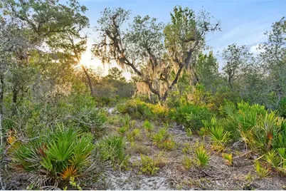 1980 Lake Buffum Road E, Fort Meade, FL 33841 - Photo 11