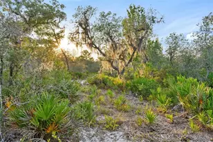 1980 Lake Buffum Rd E, Fort Meade, FL 33841 - Photo 11