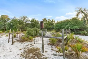 1980 Lake Buffum Rd E, Fort Meade, FL 33841 - Photo 57