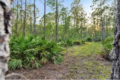 1980 Lake Buffum Road E, Fort Meade, FL 33841 - Photo 51