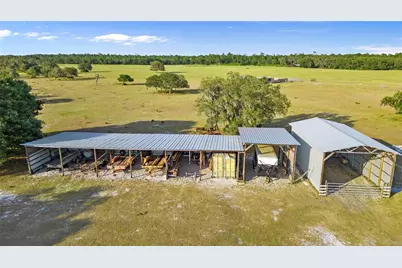 1980 Lake Buffum Road E, Fort Meade, FL 33841 - Photo 61