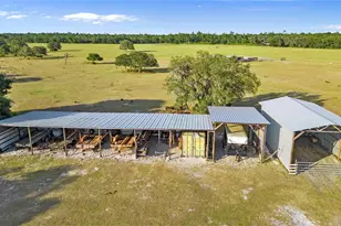 1980 Lake Buffum Rd E, Fort Meade, FL 33841 - Photo 61