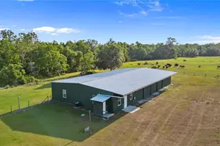 1980 Lake Buffum Rd E, Fort Meade, FL 33841 - Photo 43