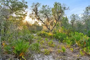 1980 Lake Buffum Rd E, Fort Meade, FL 33841 - Photo 11