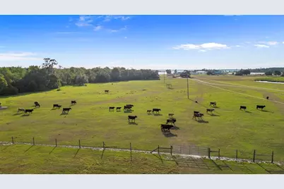 1980 Lake Buffum Road E, Fort Meade, FL 33841 - Photo 13