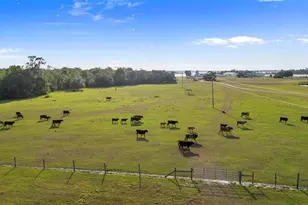 1980 Lake Buffum Rd E, Fort Meade, FL 33841 - Photo 13