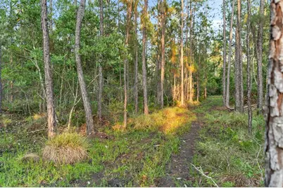 1980 Lake Buffum Road E, Fort Meade, FL 33841 - Photo 53