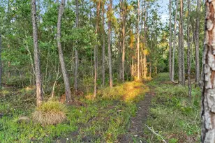 1980 Lake Buffum Rd E, Fort Meade, FL 33841 - Photo 53