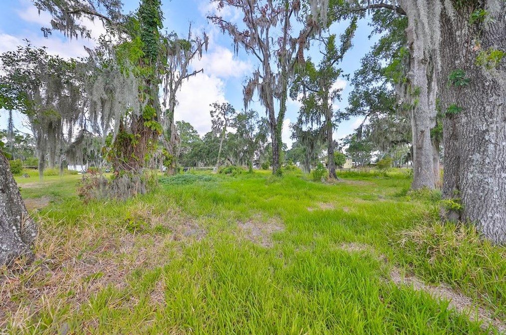 11535 County Road 39, Lithia FL 33547-1446 exterior