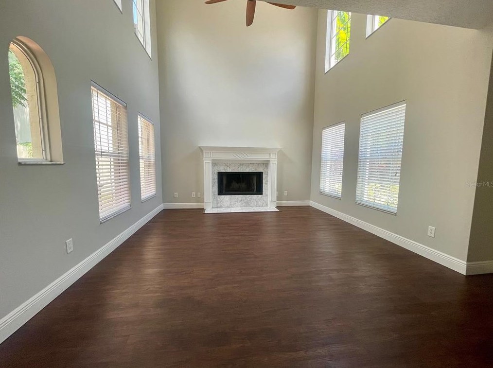 2907 Estrella St, Tampa FL  33629-6008 exterior