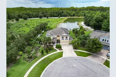 19300 Lonesome Pine Drive, Land O Lakes, FL 34638 - Photo 7