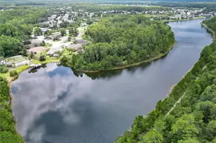 19300 Lonesome Pine Dr, Land O Lakes, FL 34638 - Photo 75