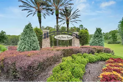 19300 Lonesome Pine Drive, Land O Lakes, FL 34638 - Photo 79