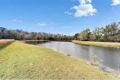 19300 Lonesome Pine Drive, Land O Lakes, FL 34638 - Photo 11