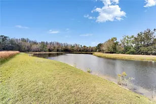 19300 Lonesome Pine Dr, Land O Lakes, FL 34638 - Photo 11