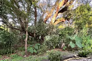 35226 Janine Dr, Zephyrhills, FL 33541 - Photo 33