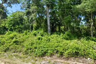 SE 41st Terrace, Summerfield, FL 34491 - Photo 1